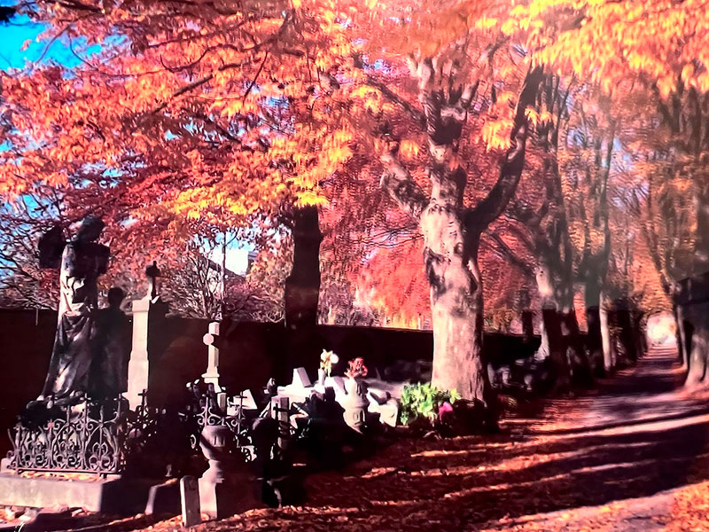 Visite guidée du cimetière Saint-Walburge